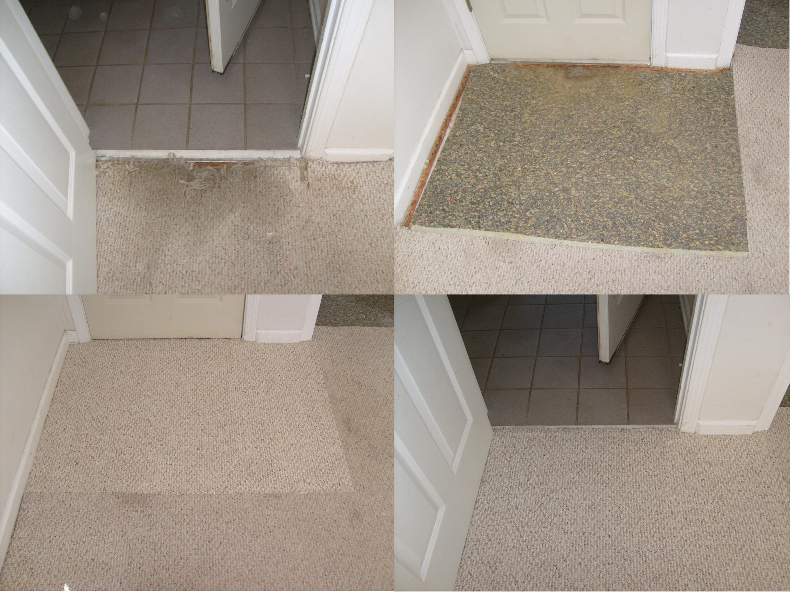 Carpet repair threshold pet damage 4 pic